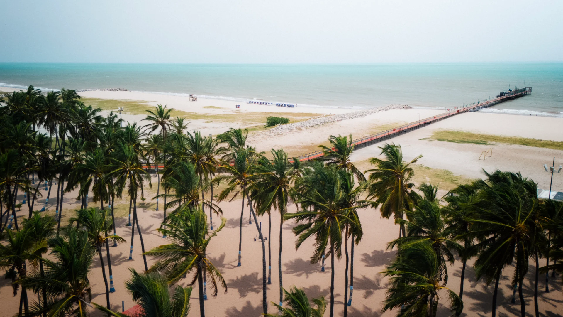 camellon de riohacha